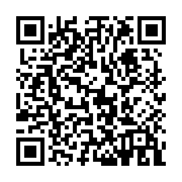 qrcode:https://taxi-soziallotse.de/pyrrhussieg-festpreise.html