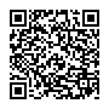 qrcode:https://taxi-soziallotse.de/taxi-rally-01-main-station.html